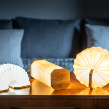 Load image into Gallery viewer, Gingko- Smart Acordion Lamp